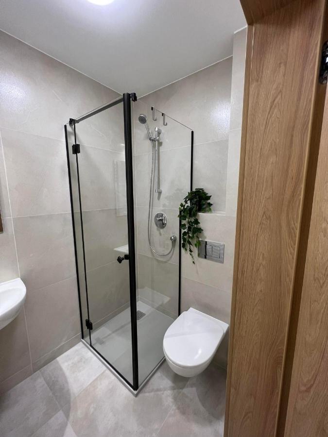 Apartment Polna 60 Zory